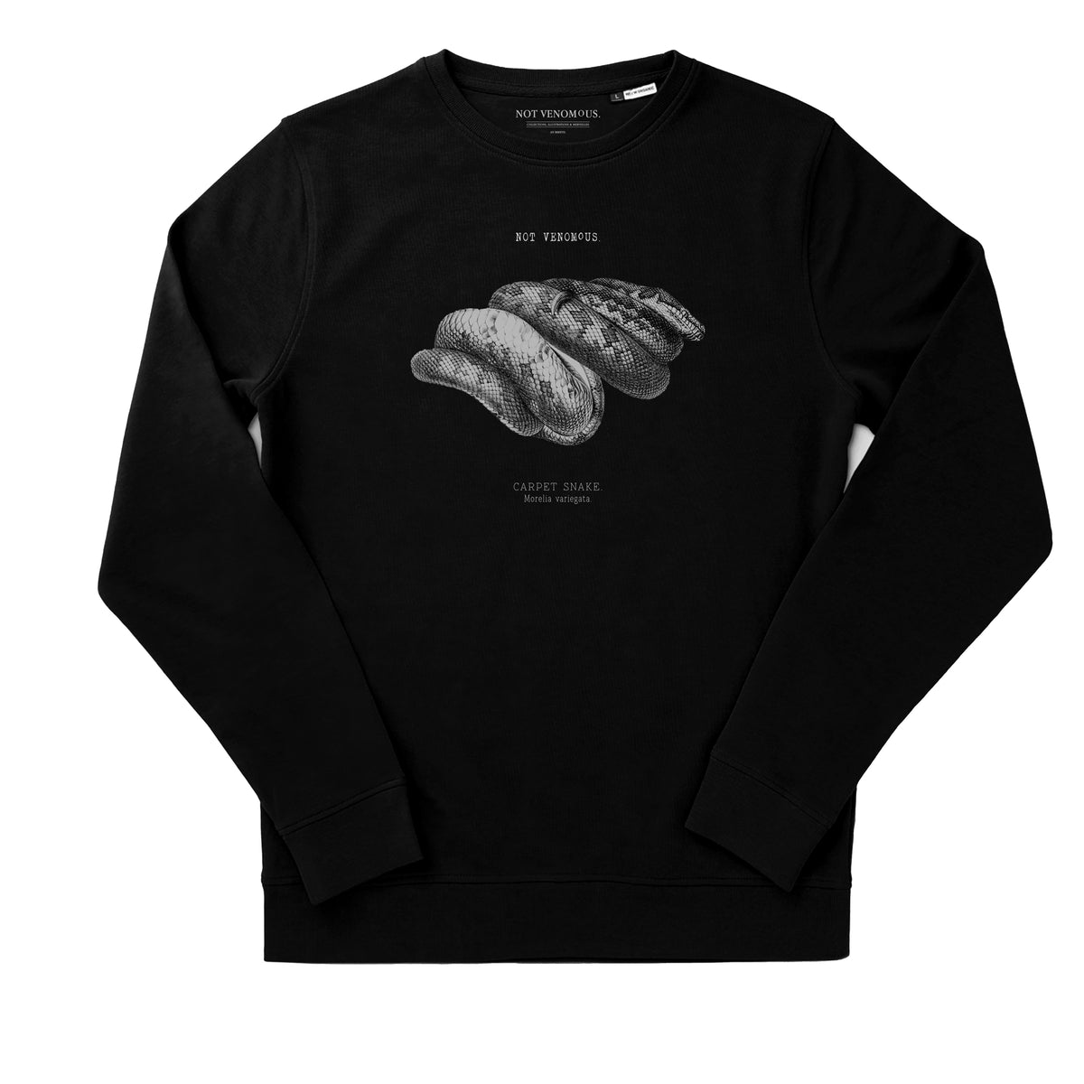 Shieldtail snake Burrowing, Venomous, NonAggressive Britannica Shieldtail snake Burrowing, Venomous, NonAggressive Britannica