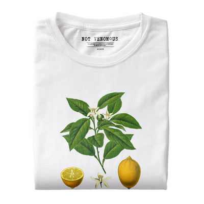 Citrus Limon, Illustration issue de "Köhler's Medizinal-Pflanzen" (T-Shirt unisexe)