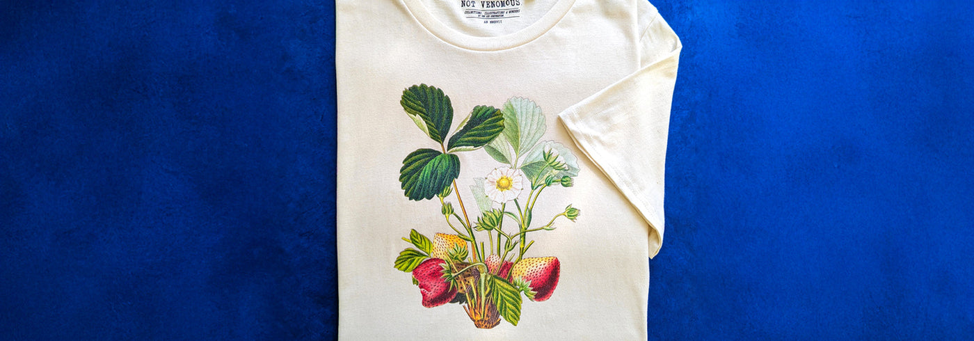 T-shirts : Les illustrations de fruits et légumes