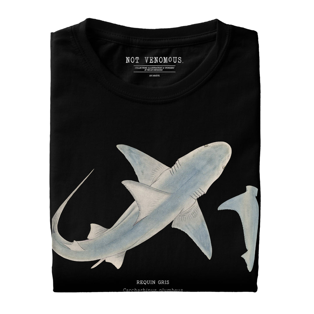 T-shirt Réversible Garçon Mini Boden - Motif Requins Gris - Taille 6-12 Mois - Coton - Neuf Avec Étiquettes
