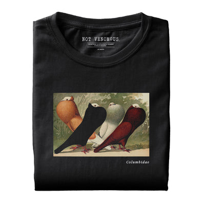 Columbidae, Illustration issue de "Splendeurs illustrées de toutes les races de pigeons" (T-Shirt unisexe)